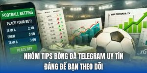 Nhóm Tips Bóng Đá Telegram Uy Tín Đáng Để Bạn Theo Dõi