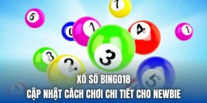 Xổ Số Bingo18 - Cập Nhật Cách Chơi Chi Tiết Cho Newbie